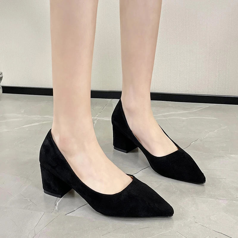 Womens Black Suede Low Heel Pointed Shoes